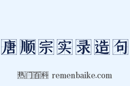 唐顺宗实录造句是什么意思的图片